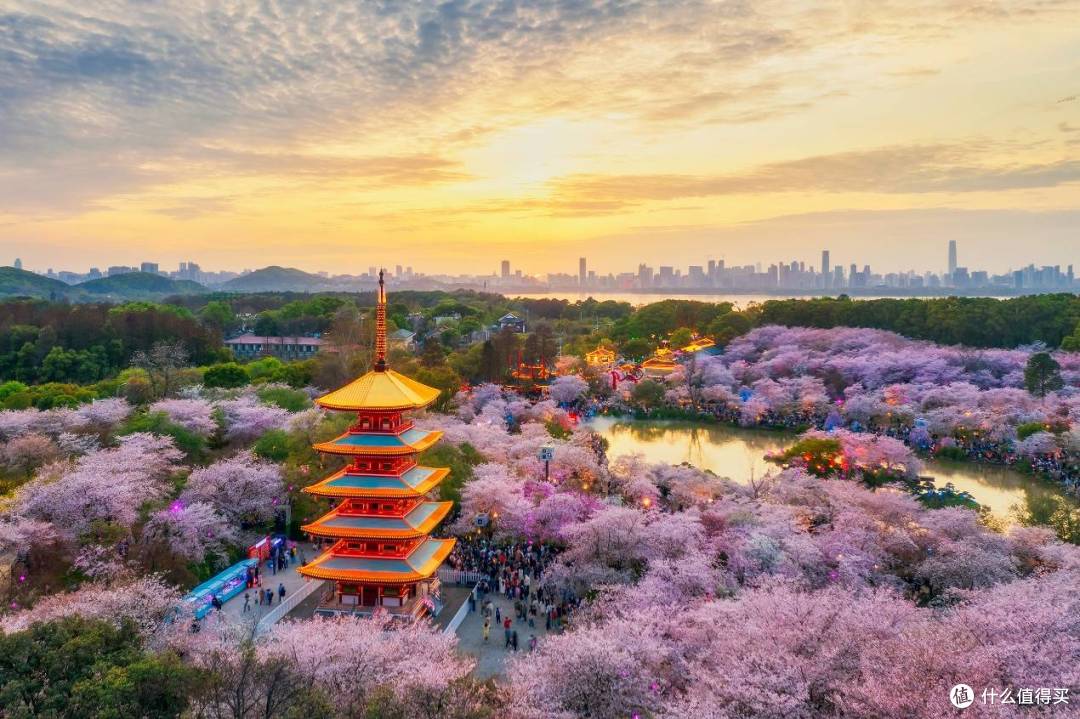 万达生活方式酒店以会员专属礼遇解锁赏花新体验