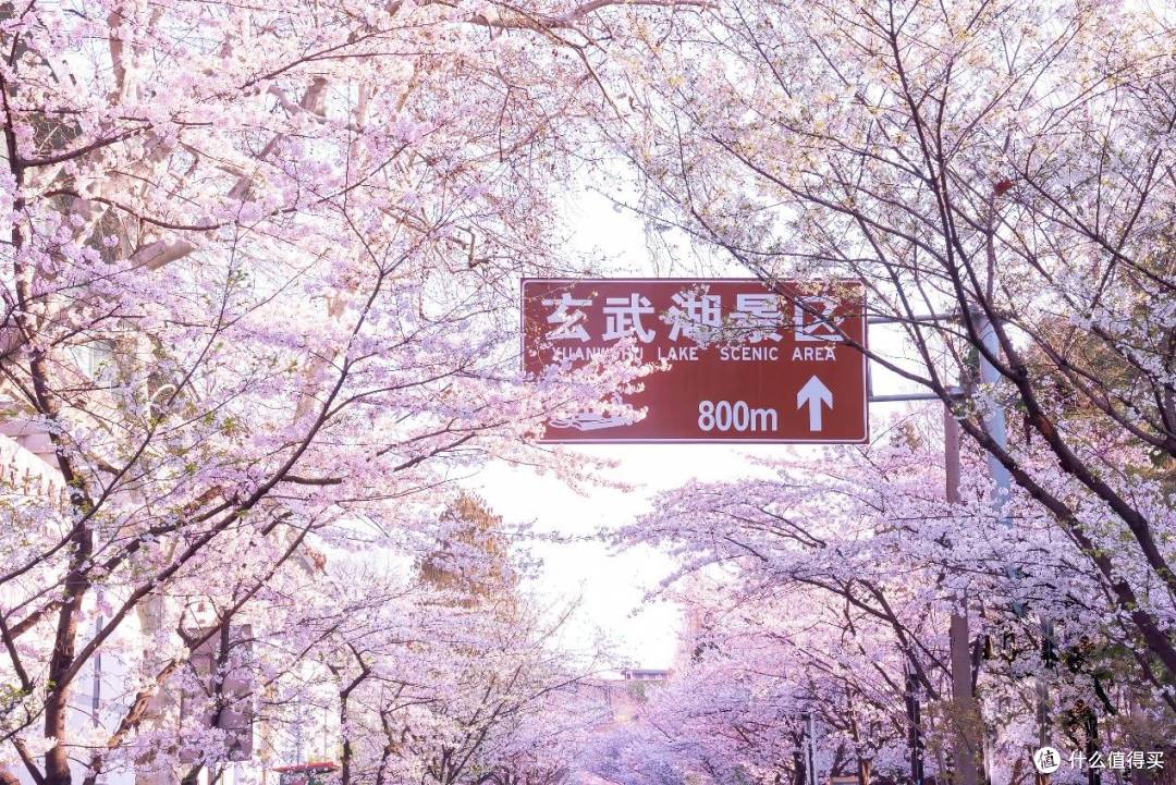 速度与激情邂逅小确幸,万悦会春日三重礼遇赋能花漾旅程