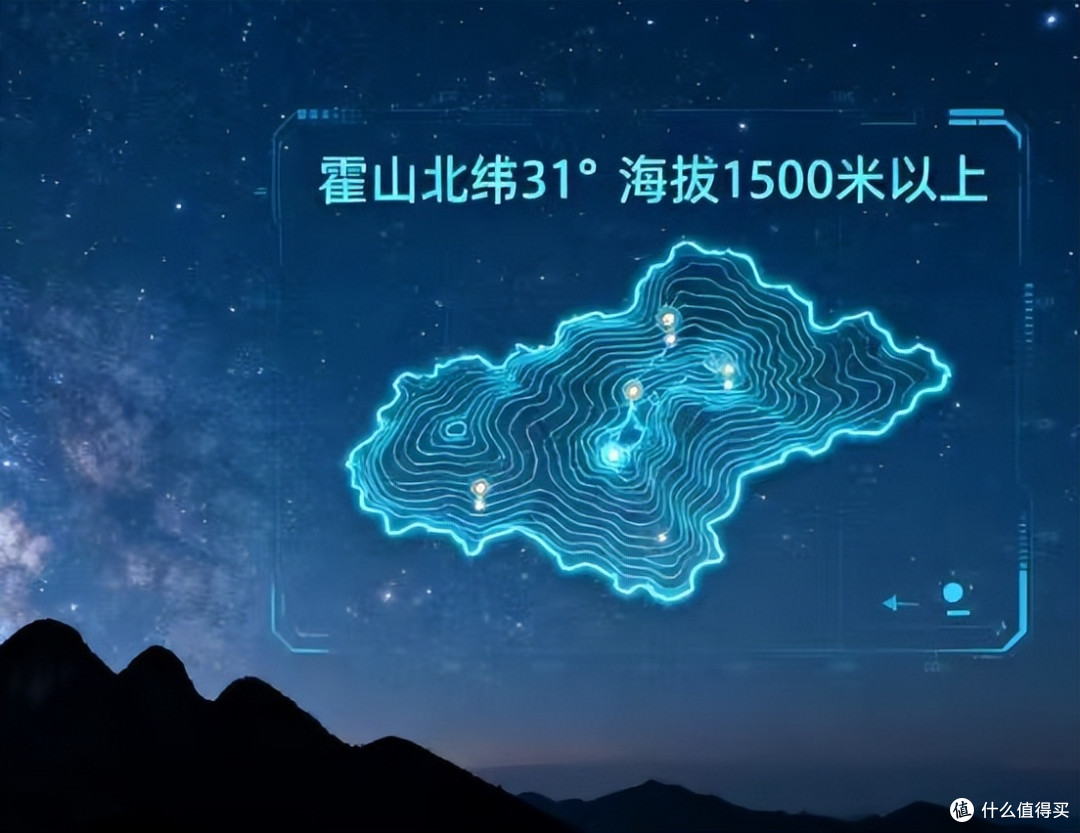 铁皮石斛品牌排行榜：2026最新十大顶级品牌，品质正宗更有保障