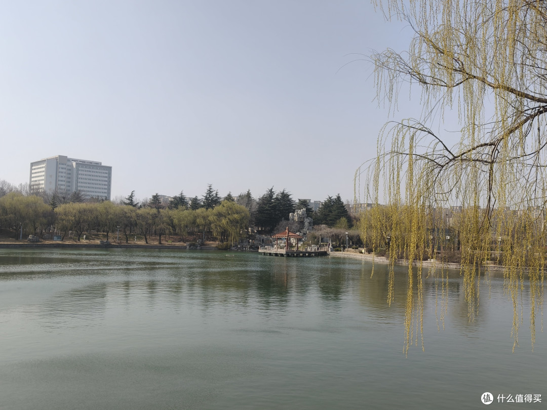 每个大学都有湖是么？