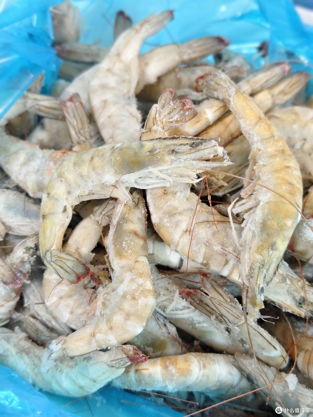 过期食品能吃吗？会有毒？吃对身体有伤害吗？长期冰冻食品能吃吗