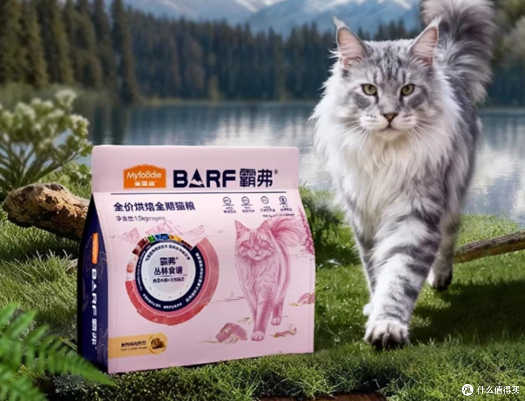 【315消费指南】如何选择猫粮？十大天然猫粮牌子排行榜推荐