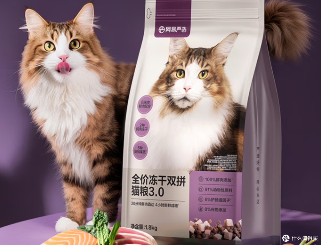 猫一天吃多少克猫粮计算公式?2026猫粮牌子推荐前五名怎么选