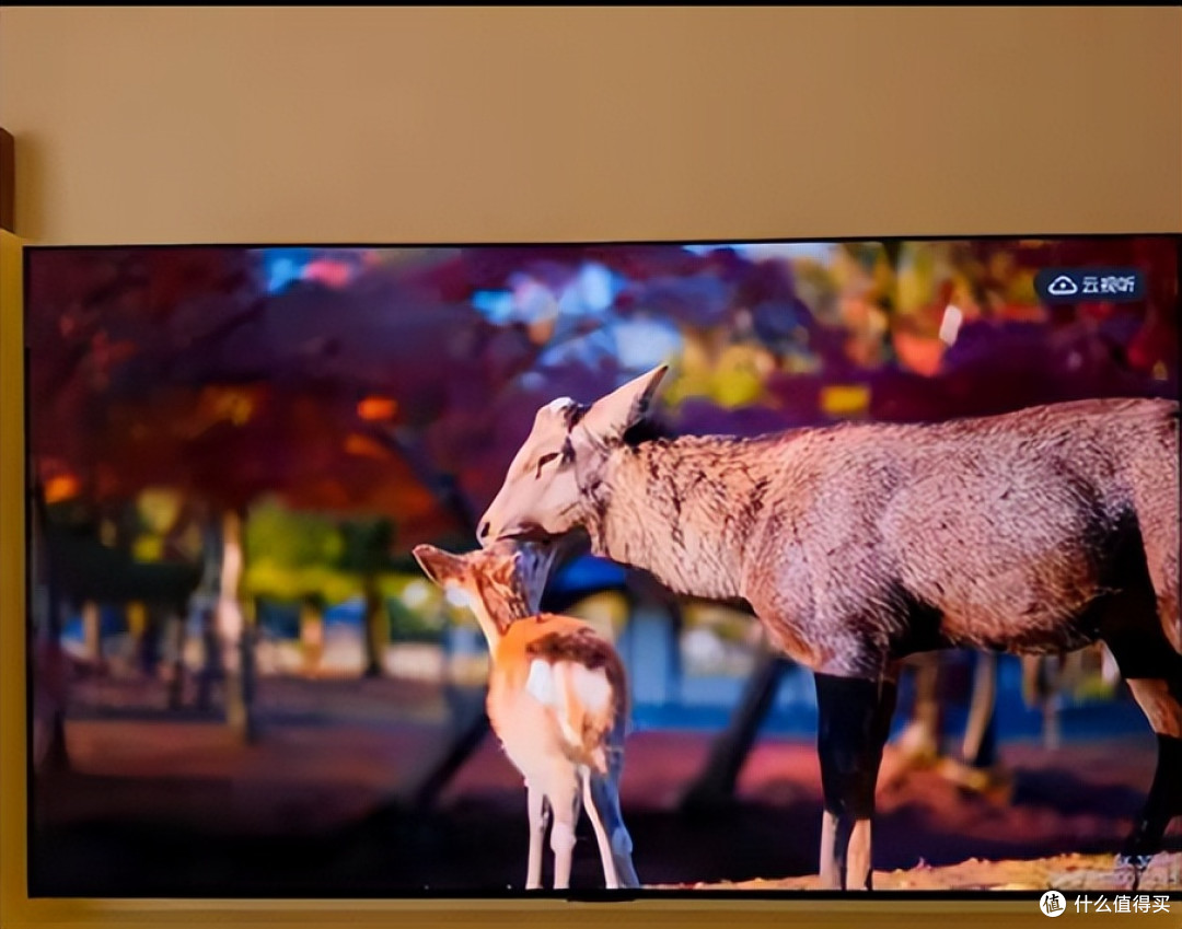 高端电视隐藏实力曝光!TCL RGB LED 85C11L与海信U7S Pro如何