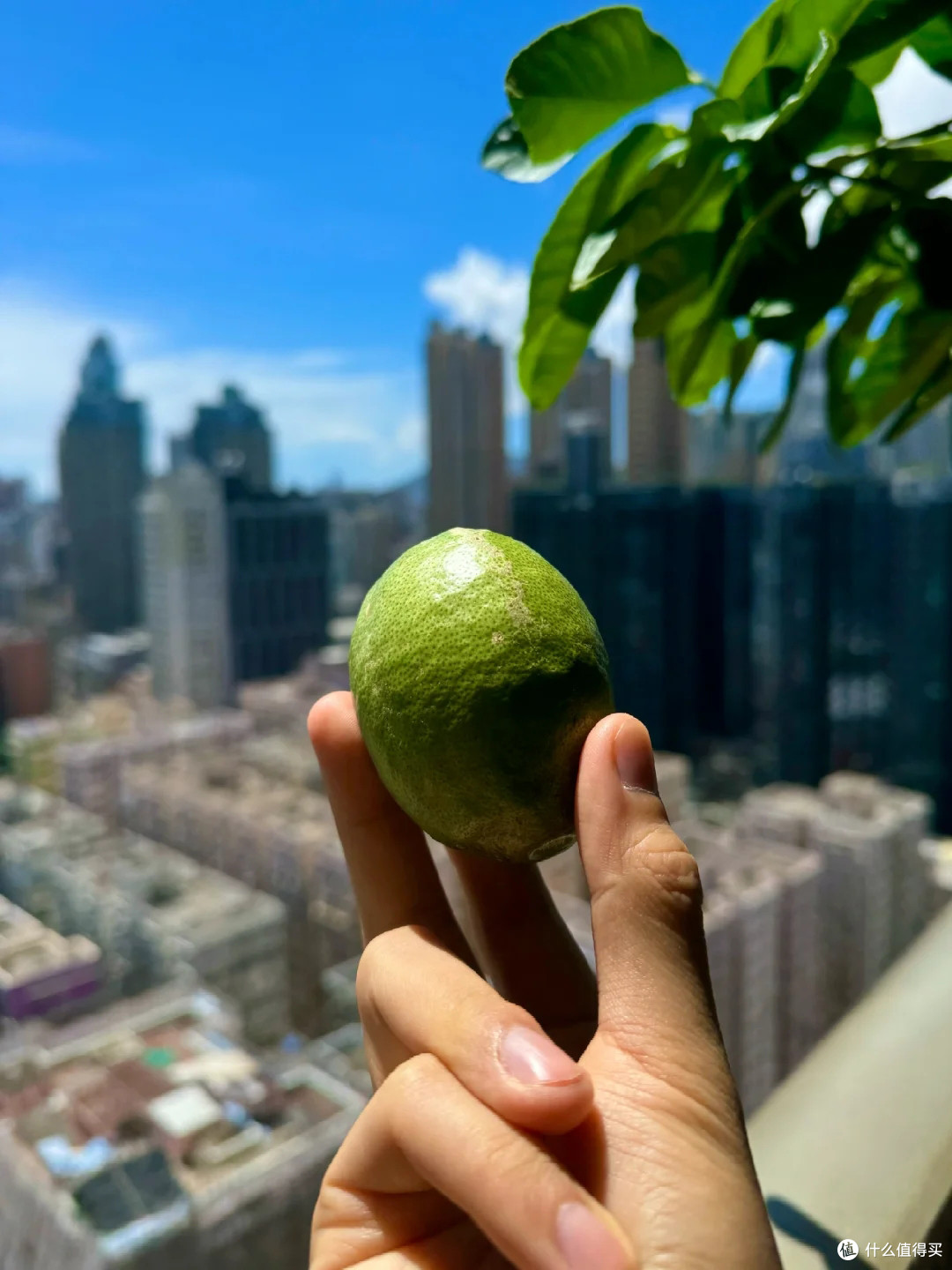 香港40岁小哥住45㎡小宅,空间一点都不敢浪费,却说:已经很大了