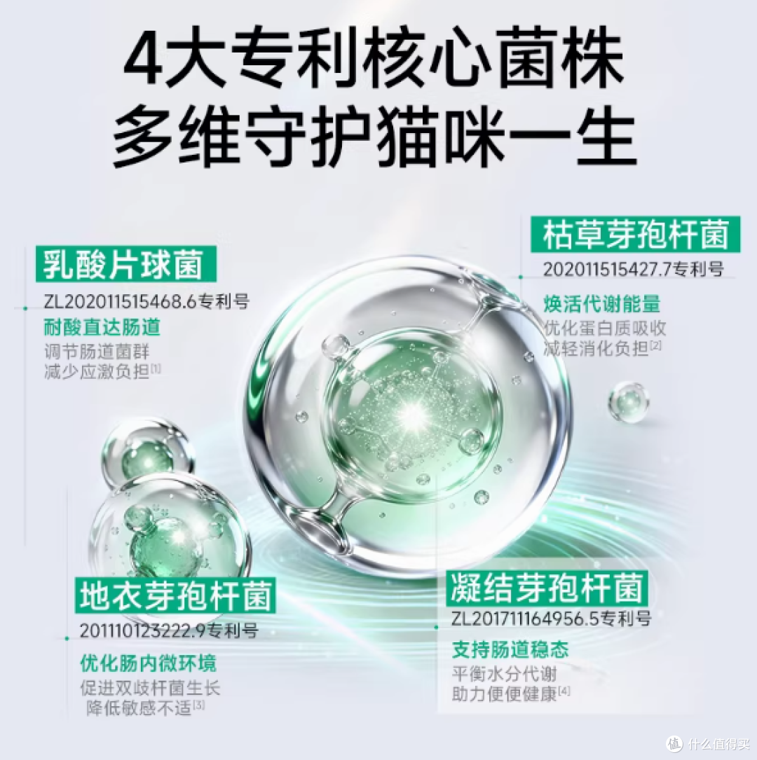 🐱 标题:玻璃胃救星!这粮让主子便便超完美