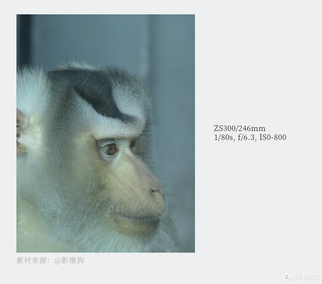新品发布 | LUMIX ZS300紧凑型数码相机 为每个瞬间而生