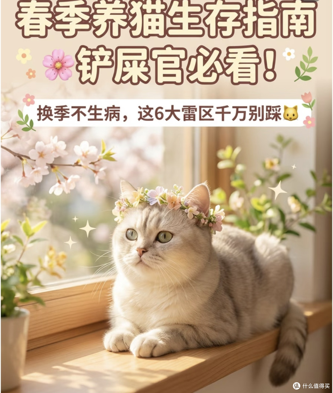 春季养猫不踩雷!这6点救了猫咪的命🐱