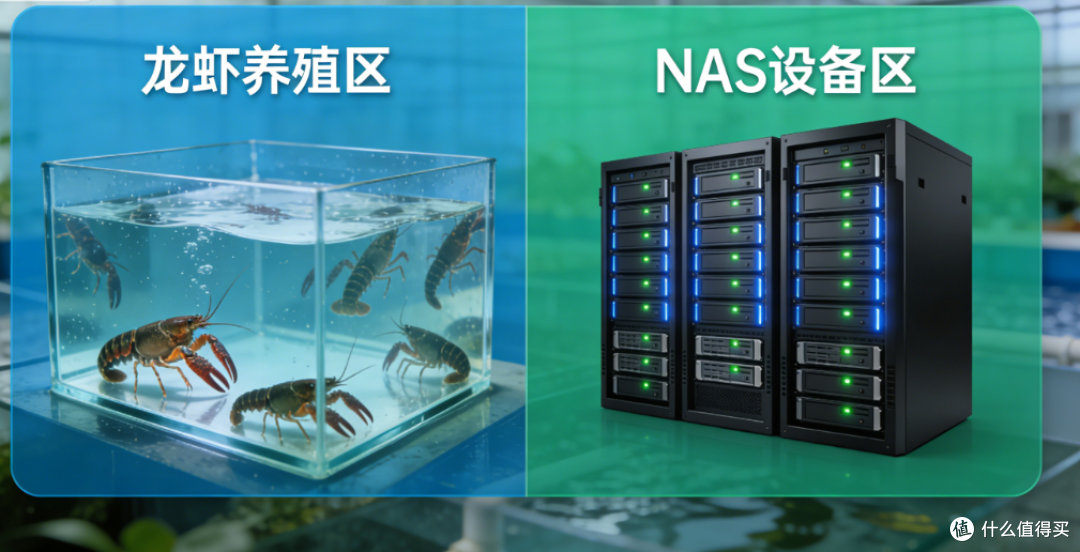 理性养龙虾不跟风|OpenClaw部署NAS,极空间安稳又实用