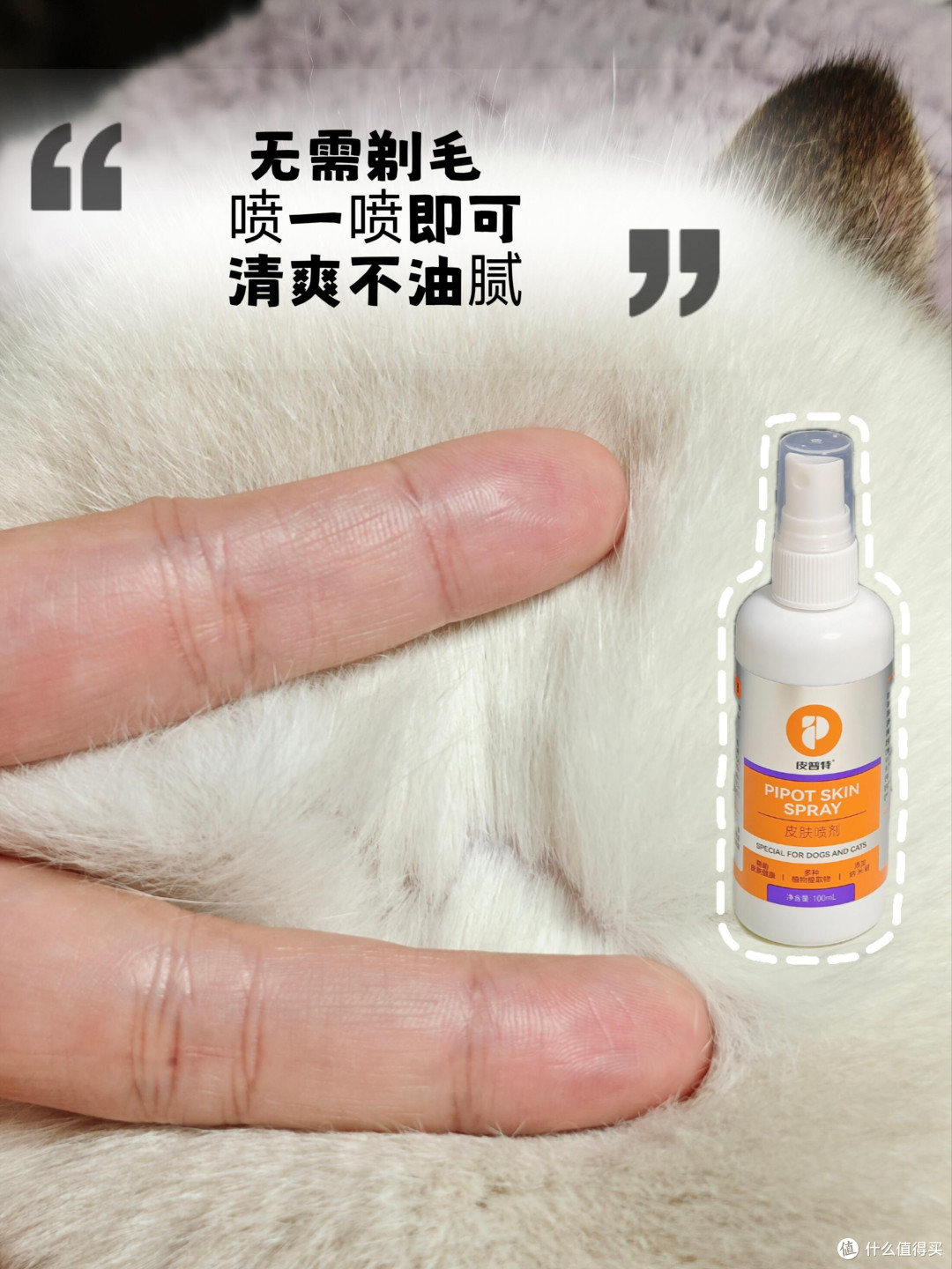 春季宠物皮肤护理全攻略