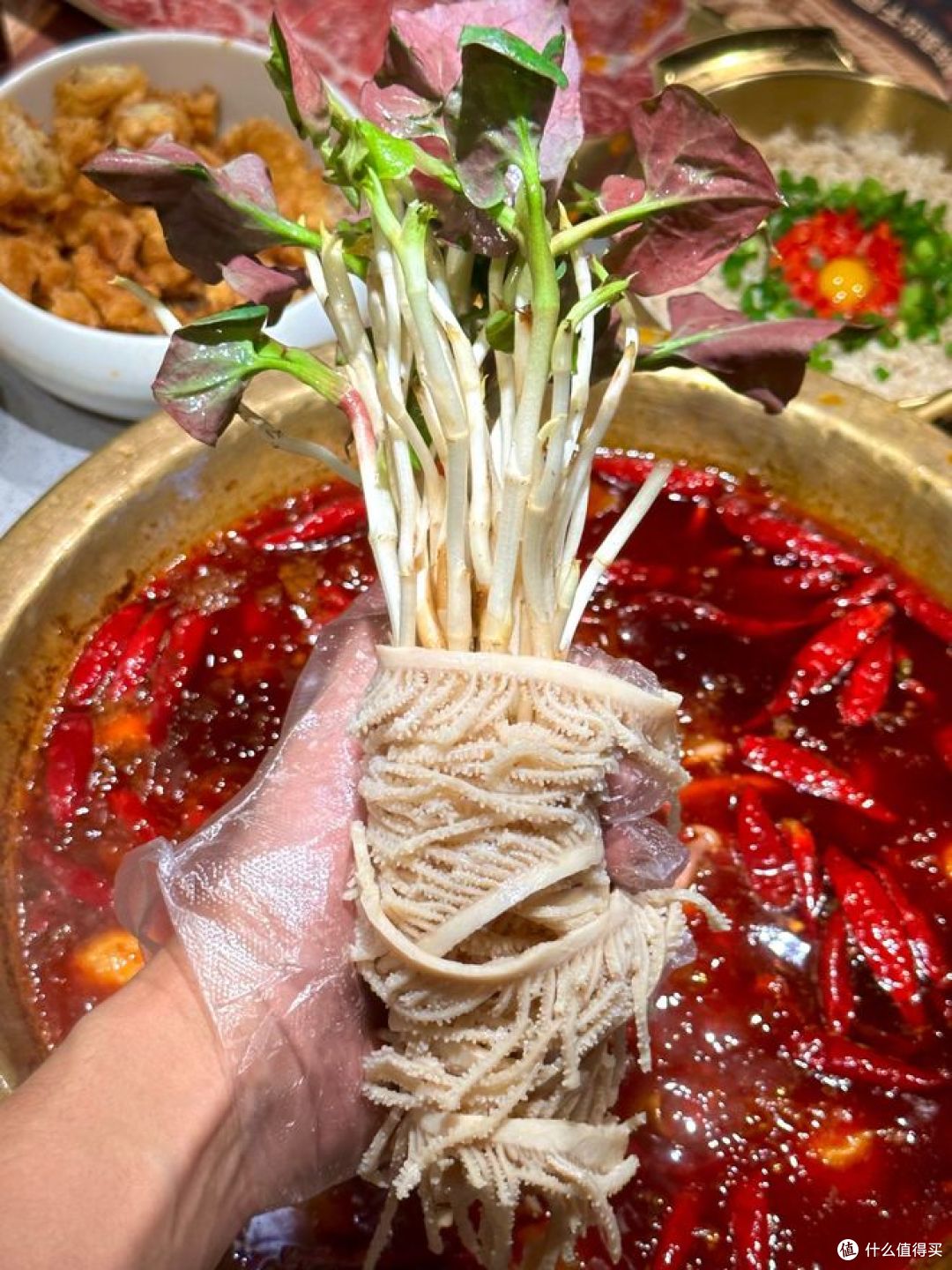 春食野菜“赛仙丹”!折耳根有哪些吃法?