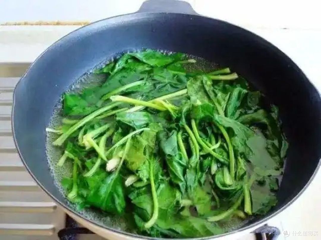 春菜有多少种?你吃过哪些不同的品种?