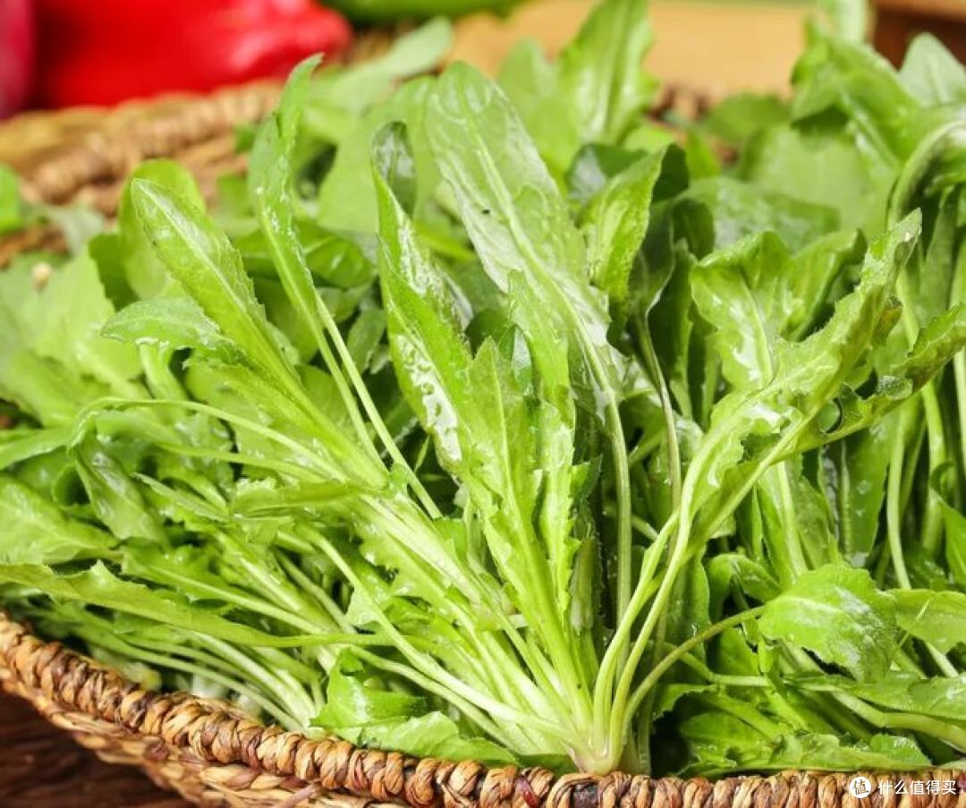 春菜有多少种?你吃过哪些不同的品种?