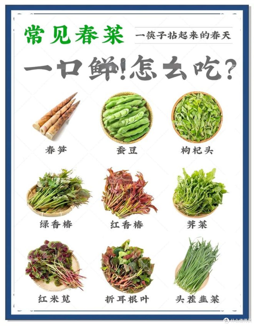 春菜有多少种?你吃过哪些不同的品种?