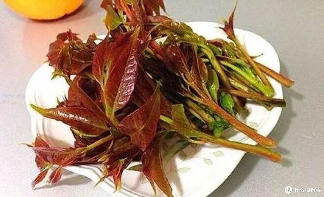 春菜有多少种?你吃过哪些不同的品种?