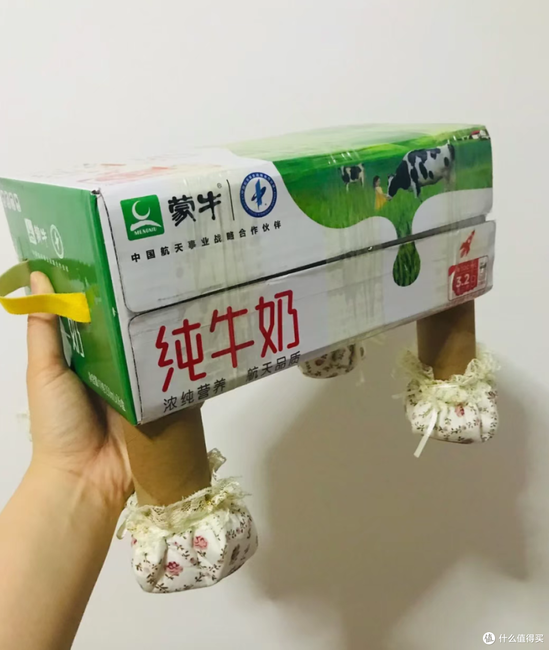 喝完的牛奶箱千万别扔!换个思路,秒变生活神器,省下一大笔钱!
