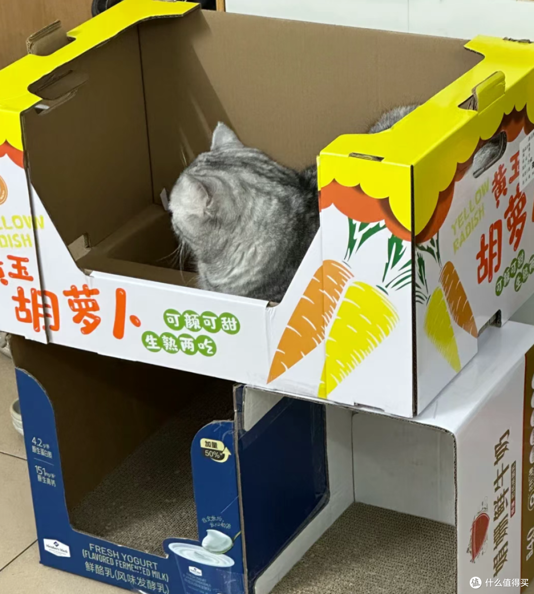 喝完的牛奶箱千万别扔!换个思路,秒变生活神器,省下一大笔钱!