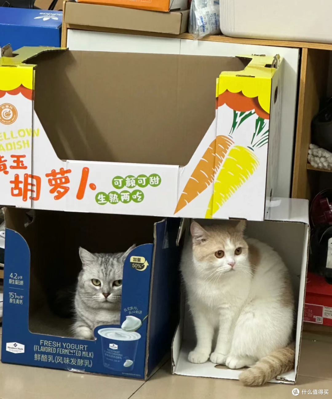 喝完的牛奶箱千万别扔!换个思路,秒变生活神器,省下一大笔钱!