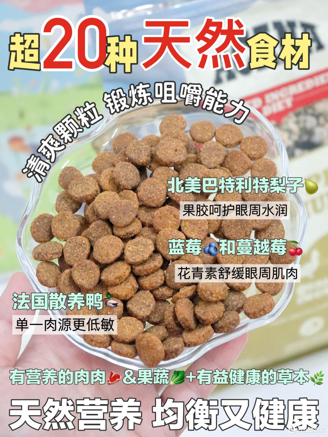 春日宠物护肤与防过敏指南