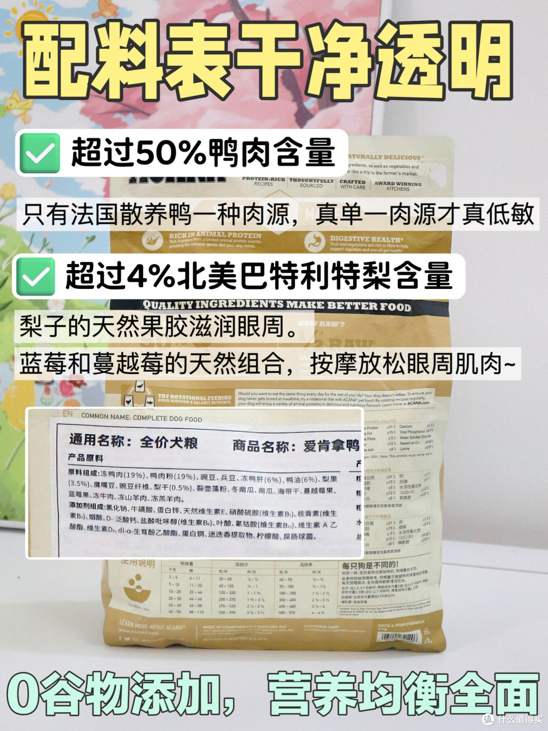 春日宠物护肤与防过敏指南