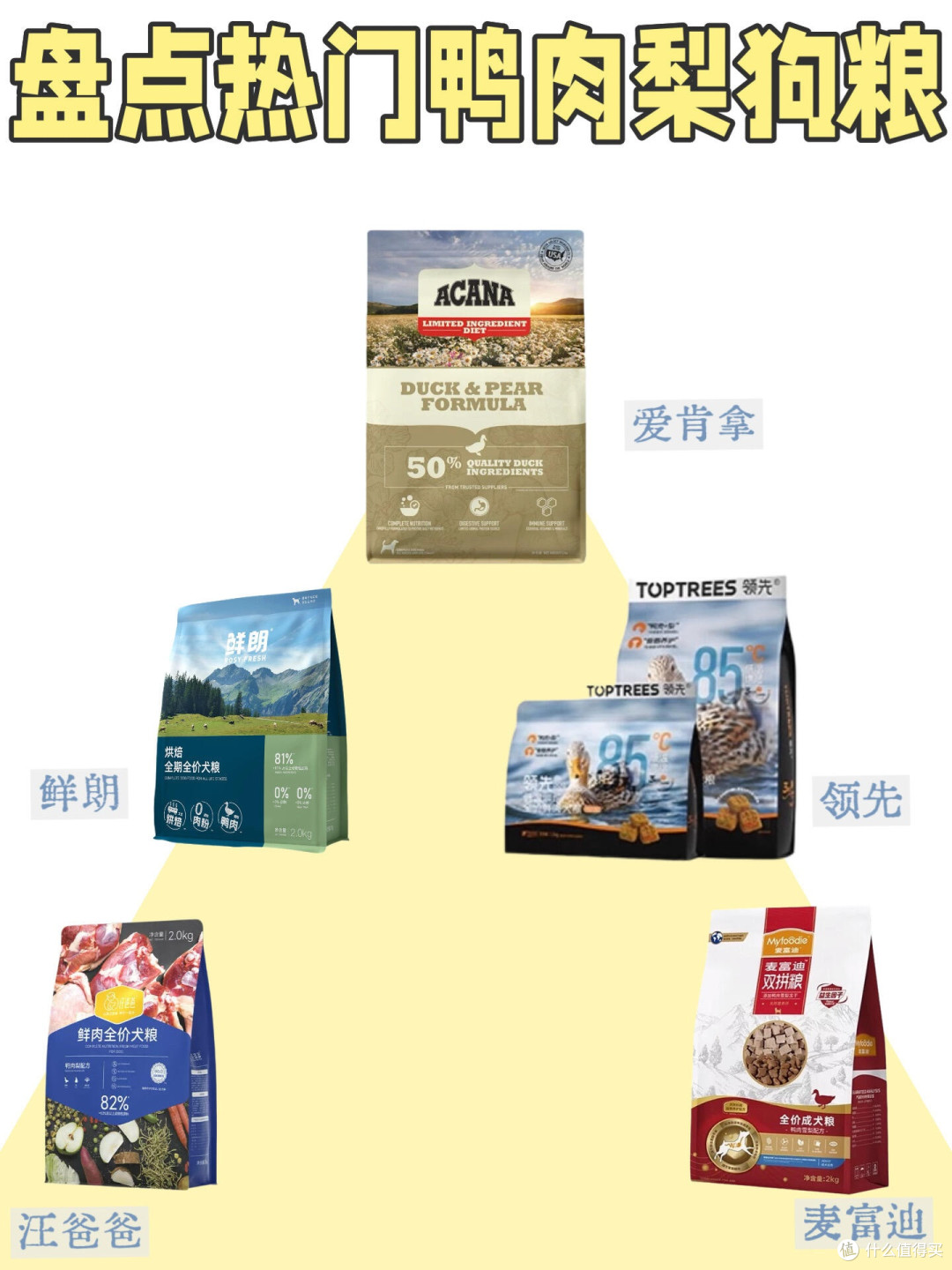 春日宠物护肤与防过敏指南