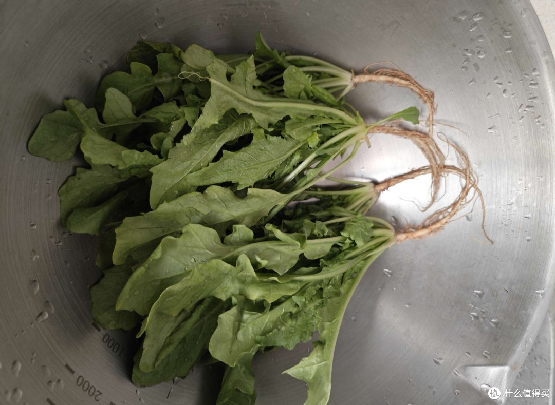 荠菜:江南春鲜的代表