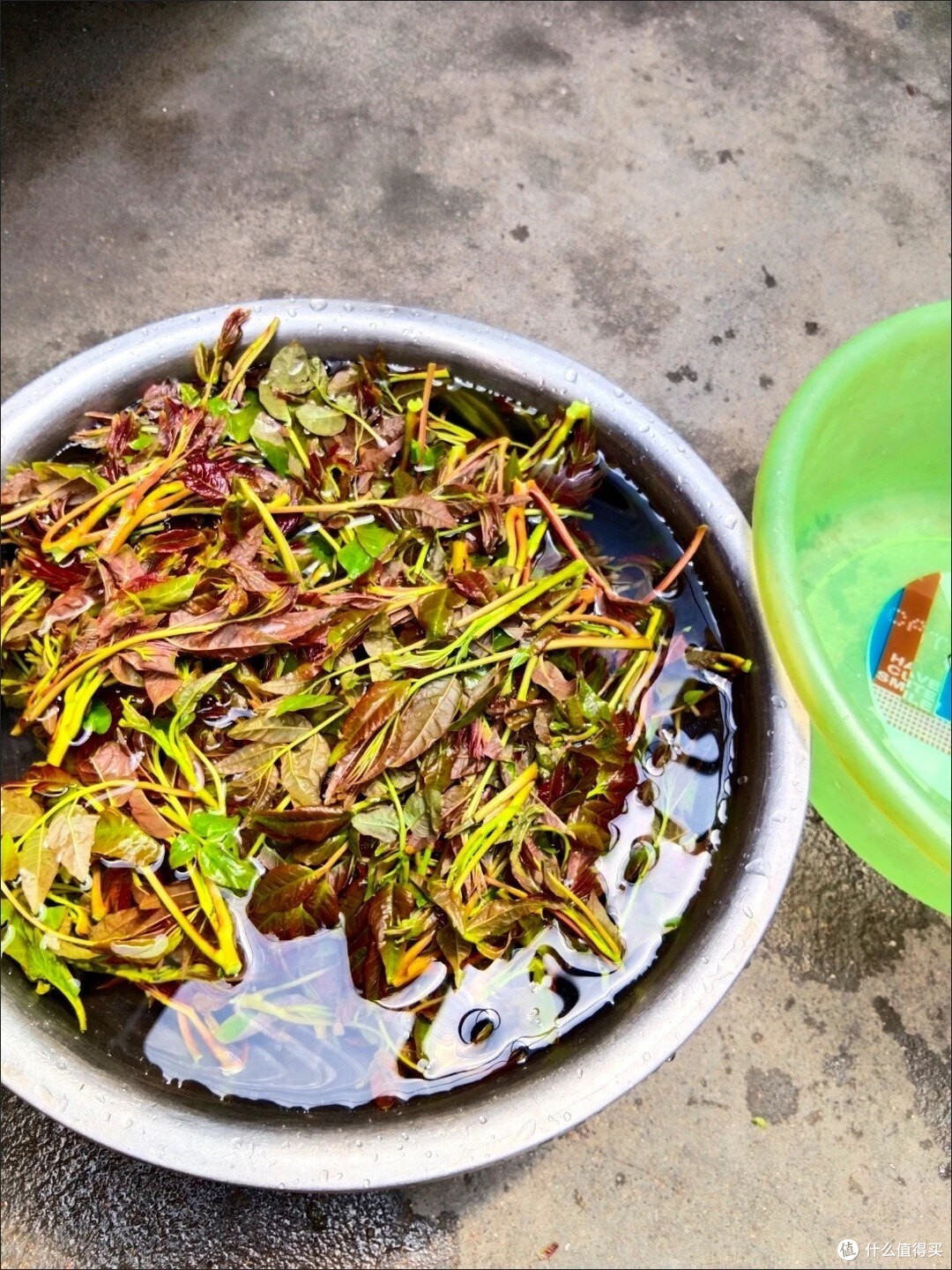 春日鲜滋味:香椿炒蛋的诗意邀约