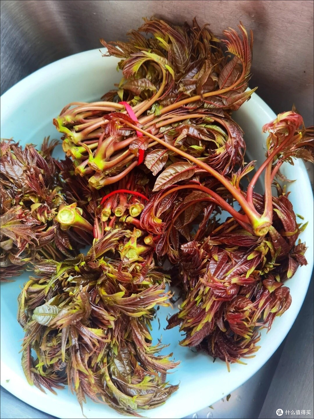 春日鲜滋味:香椿炒蛋的诗意邀约