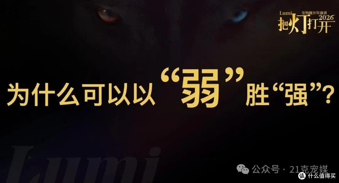 伊珊娜 Lumi2026|真心真话,即是破晓之光