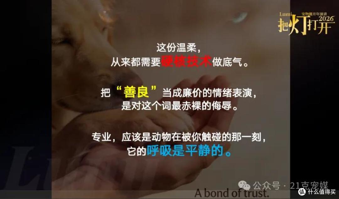 伊珊娜 Lumi2026|真心真话,即是破晓之光