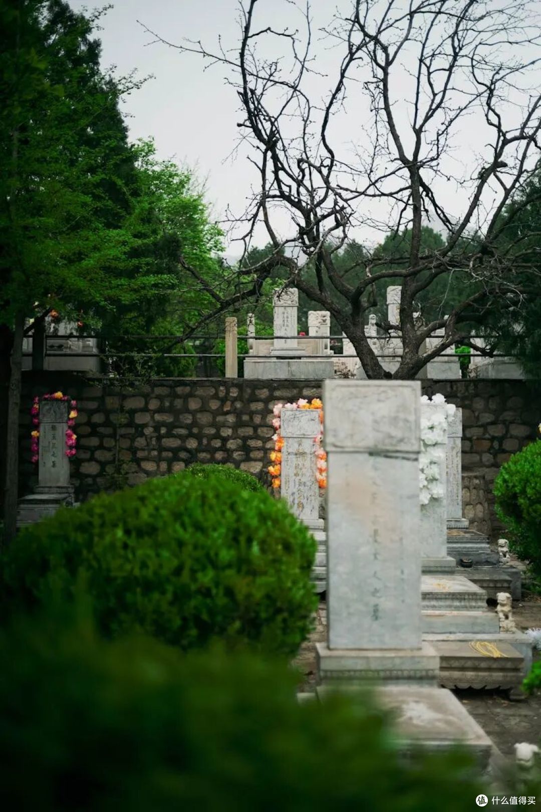 3月30日起禁止住宅专门用于安放骨灰,你会支持吗?