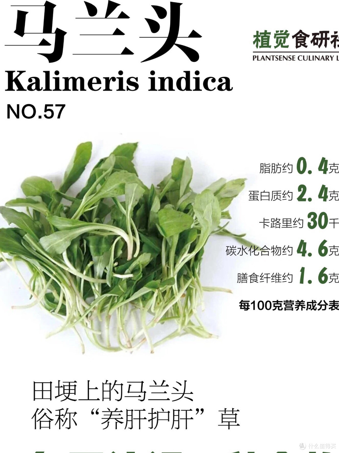 马兰头拌香干:拌在碗里的春天