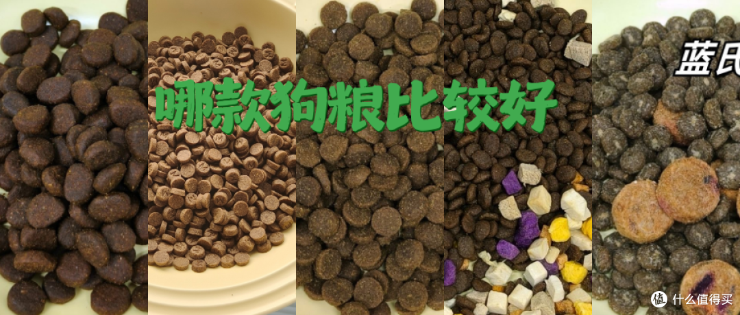 预算有限怎么选？狗粮排名前十品牌中的高性价比之王