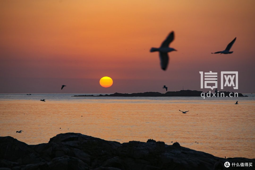 全域整合+体验融合 青岛春季旅游热度持续攀升