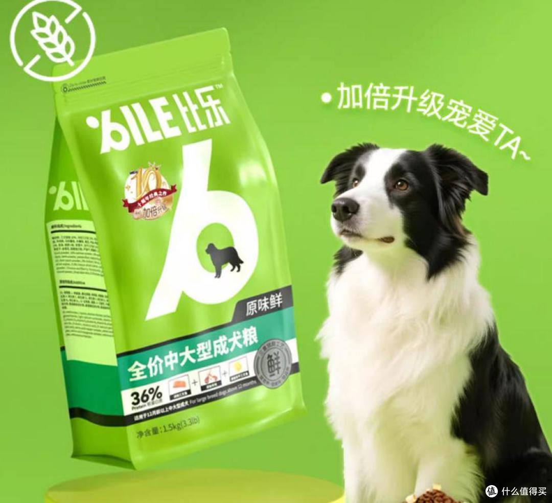 揭秘2026狗粮十大排名，看看究竟哪个牌子好？性价比推荐