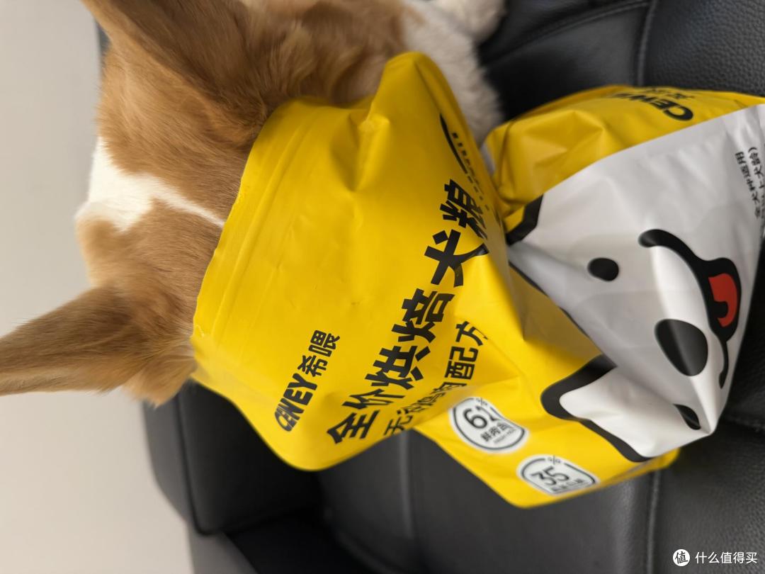 平价党养狗,什么狗粮最划算?玻璃胃吃希喂狗粮3个月真实分享