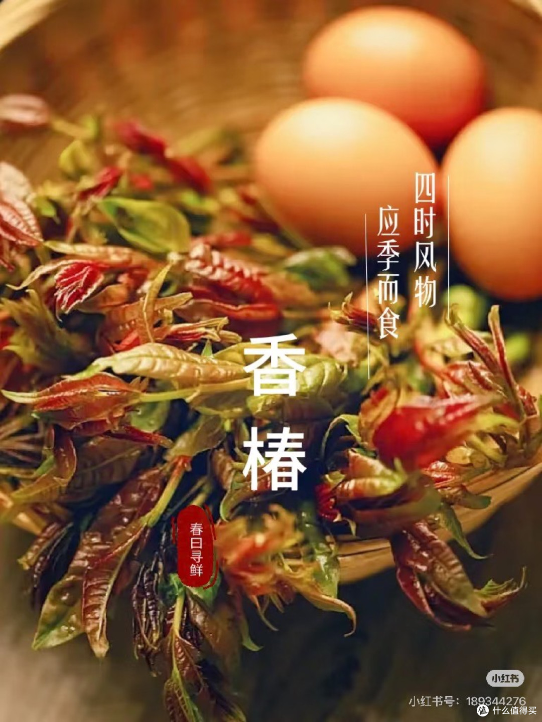 春味:香椿头炒鸡蛋