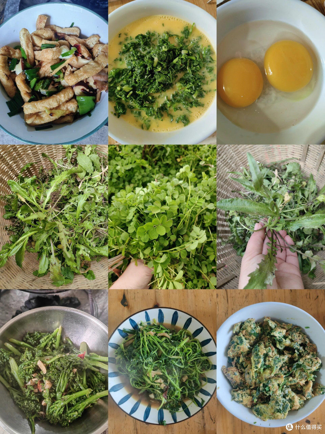 春日限定美食探店:江南到山野