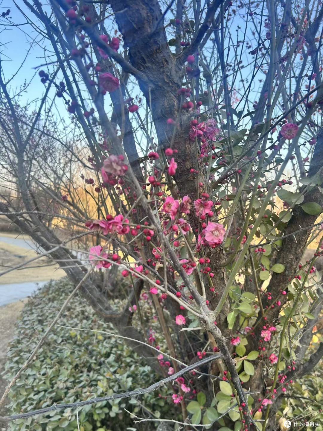 天气转暖，修复软骨药物这样选更科学