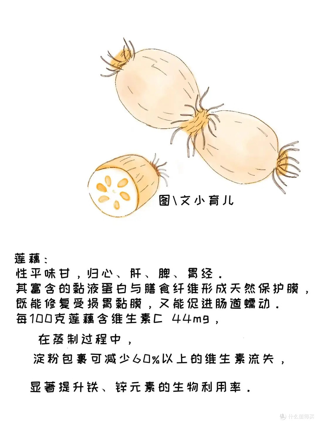 健脾益胃促消化:儿童挑食来找它——莲藕蒸肉饼