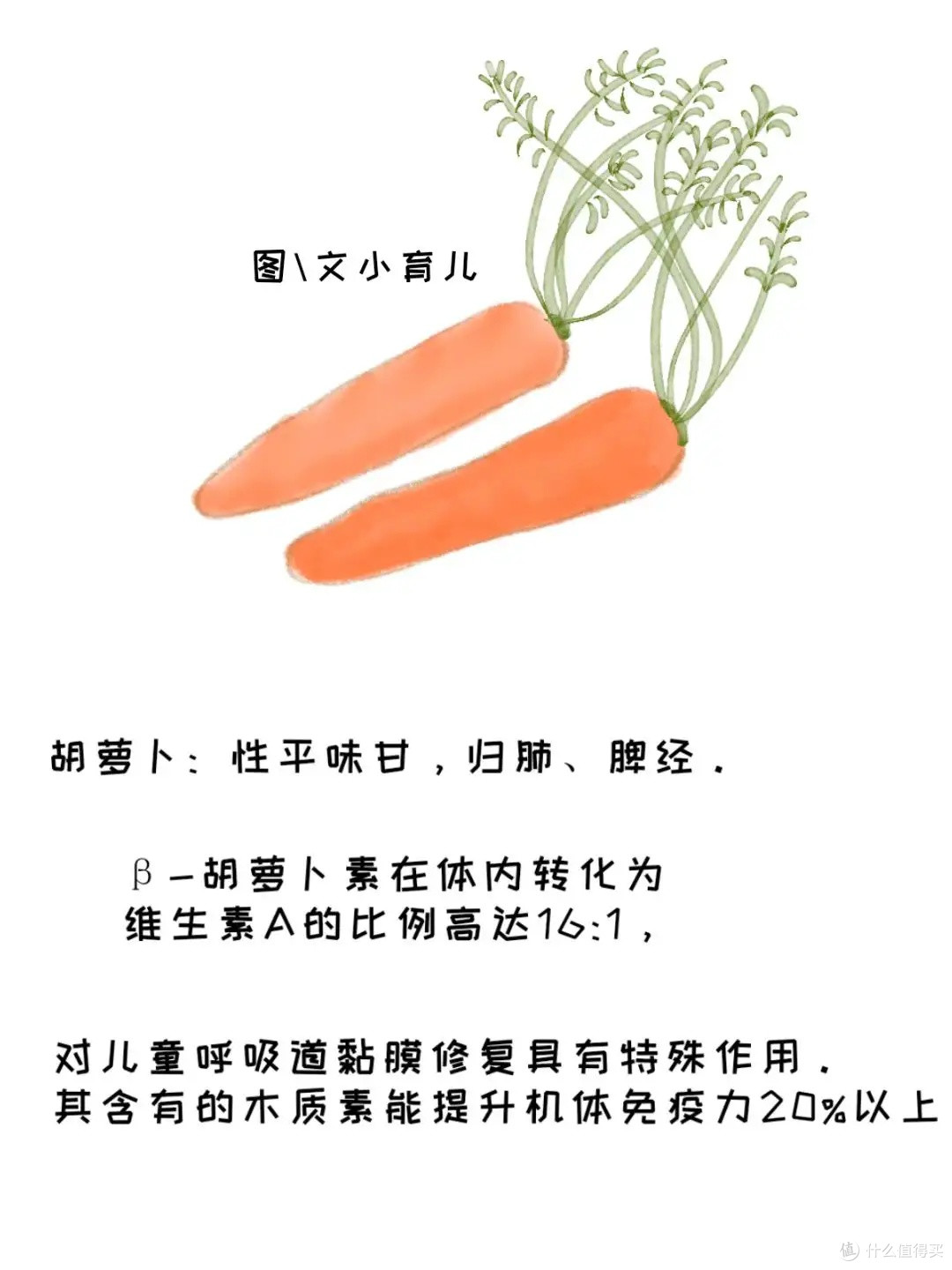 健脾益胃促消化:儿童挑食来找它——莲藕蒸肉饼