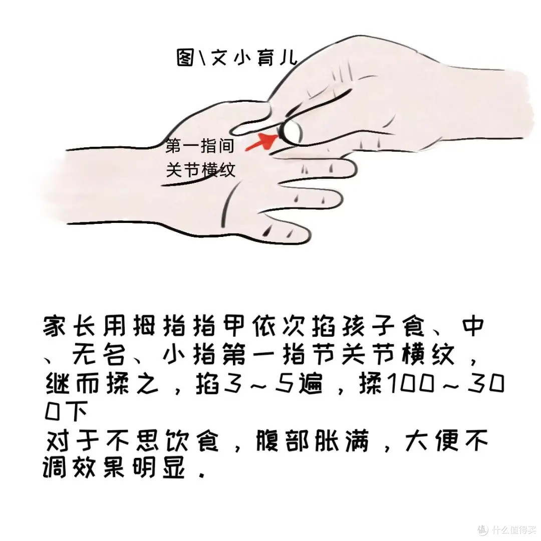 健脾益胃促消化:儿童挑食来找它——莲藕蒸肉饼