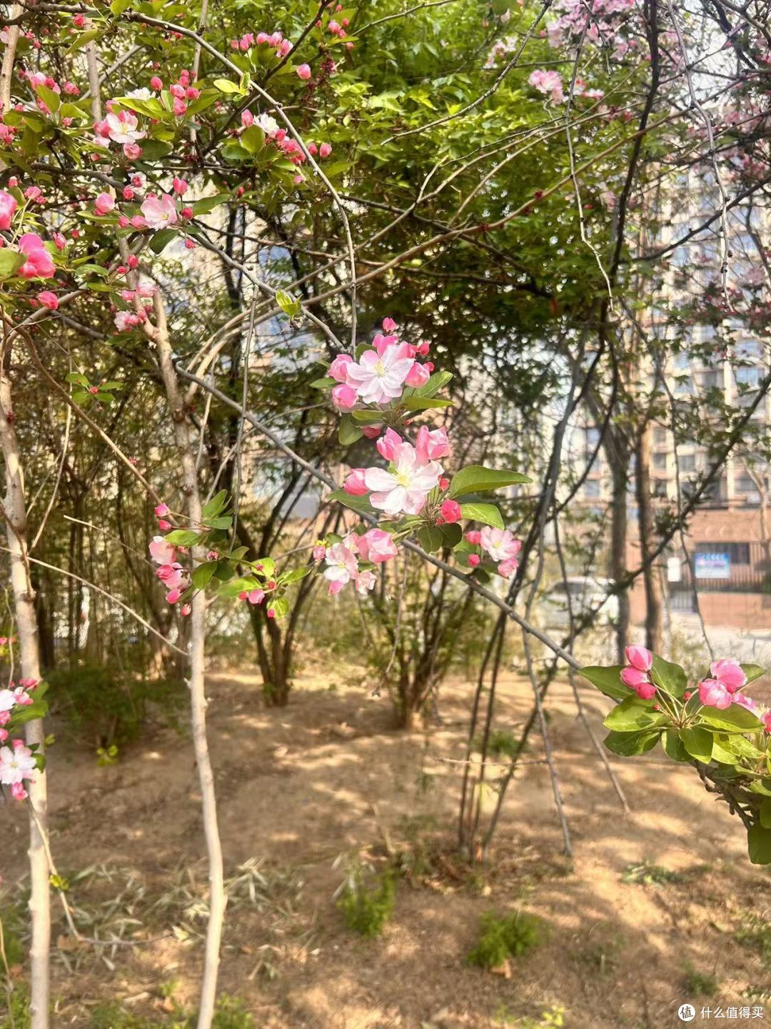 天气转暖，修复软骨药物这样选更科学
