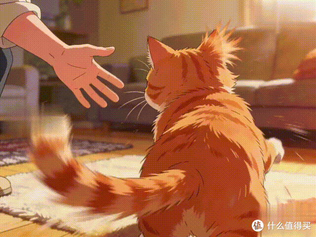 猫咪“生气”的7种表现，最后一个真的惹不起！