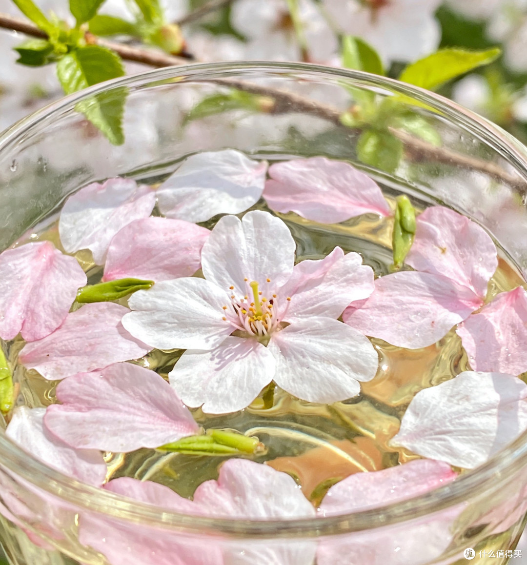 樱花绿茶：春日限定的诗意茶饮