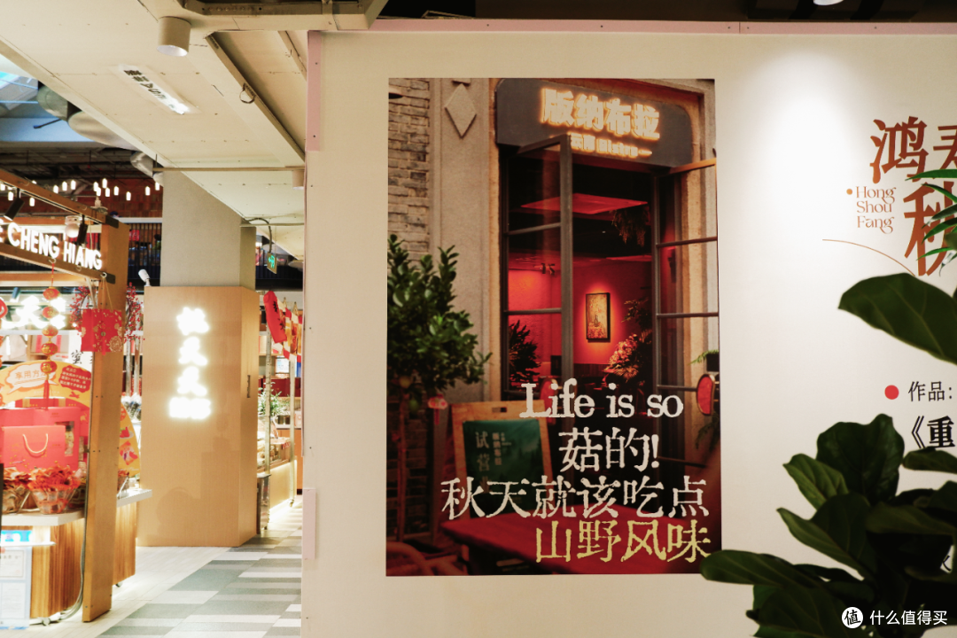 游客不知道,本地人舍不得说的宝藏路线,该跟大家分享了!