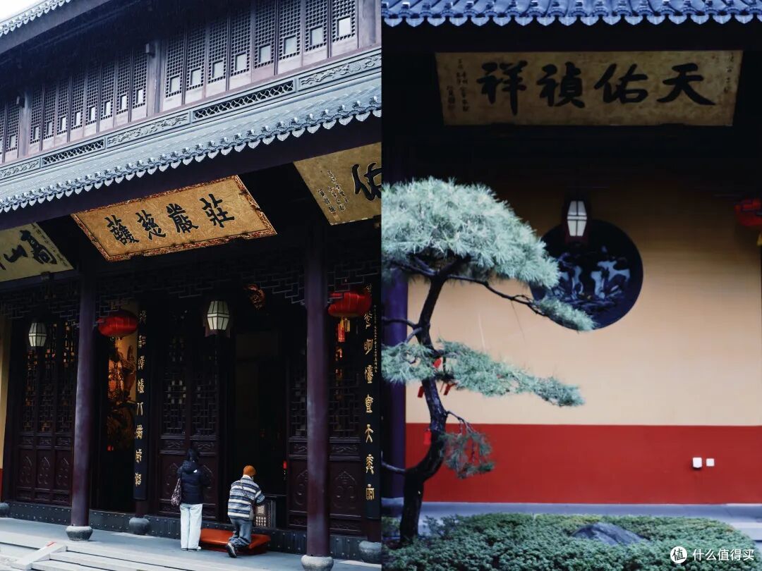 游客不知道,本地人舍不得说的宝藏路线,该跟大家分享了!