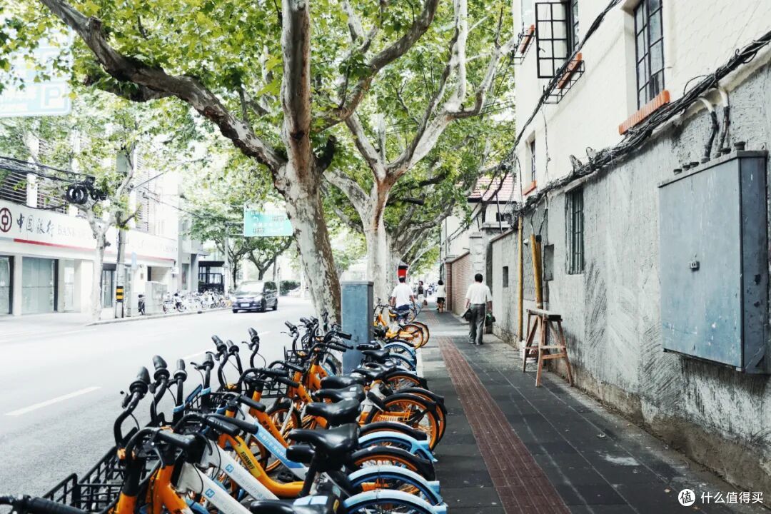 游客不知道,本地人舍不得说的宝藏路线,该跟大家分享了!