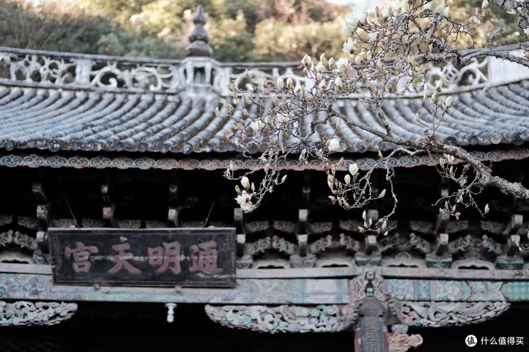 这座六百年的城,不争不抢,却活成了最想住的样子