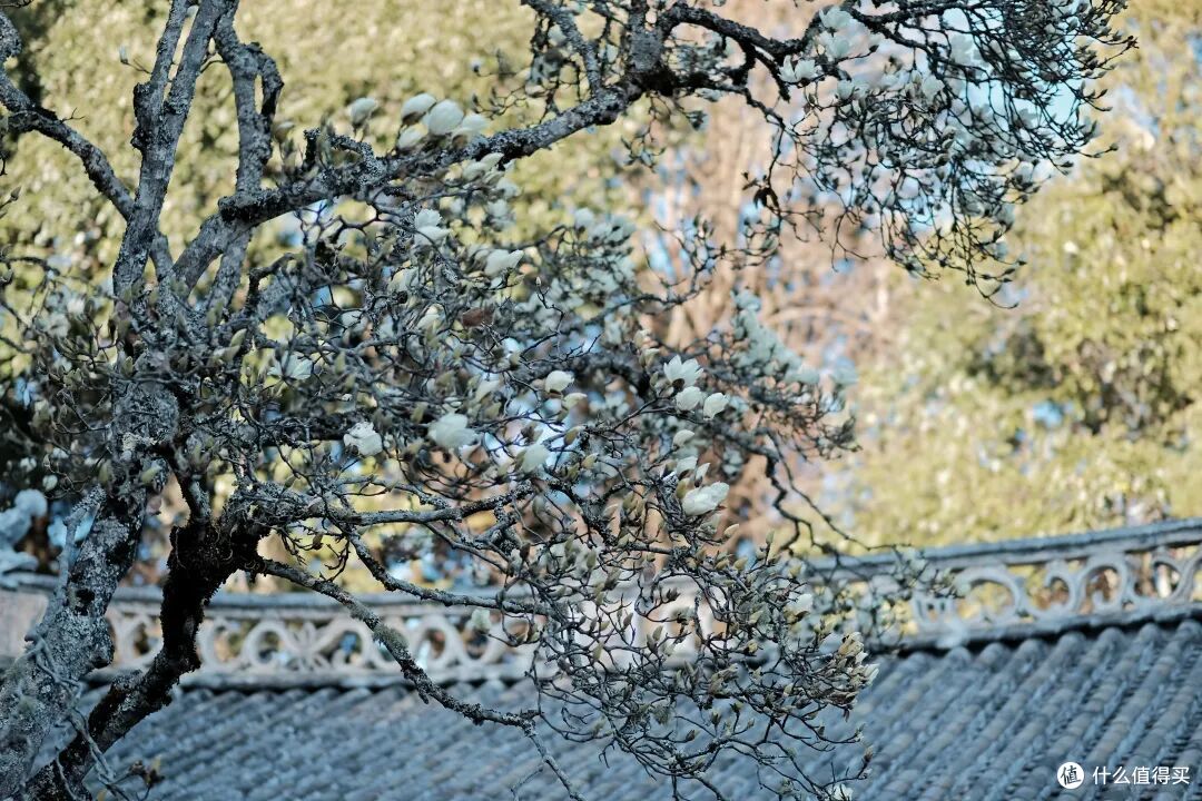 这座六百年的城,不争不抢,却活成了最想住的样子